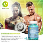 Vital Green - Creatine Gummies - 60 Creatine Monohydraat Gummies